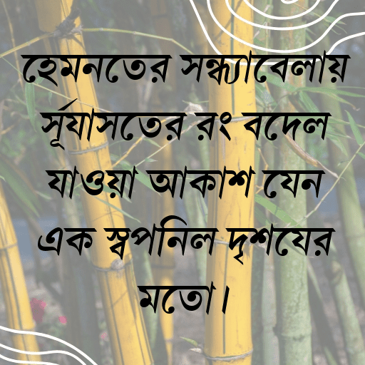 হেমন্তের সন্ধ্যাবেলায় সূর্যাস্তের রং বদলে যাওয়া আকাশ যেন এক স্বপ্নিল দৃশ্যের মতো।