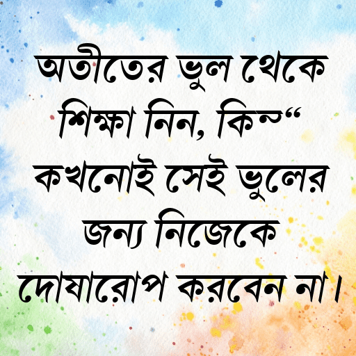 অতীতের ভুল থেকে শিক্ষা নিন, কিন্তু কখনোই সেই ভুলের জন্য নিজেকে দোষারোপ করবেন না।
