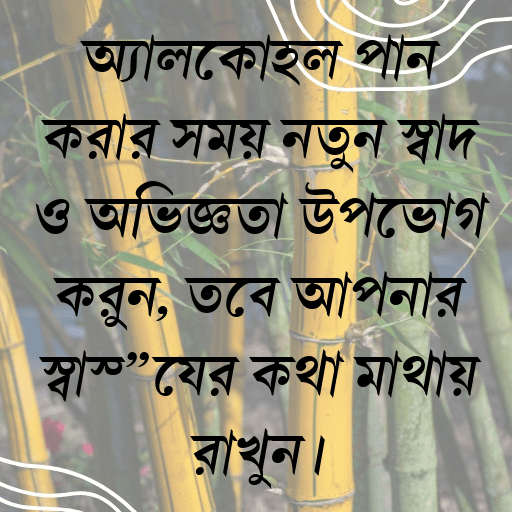 অ্যালকোহল পান করার সময় নতুন স্বাদ ও অভিজ্ঞতা উপভোগ করুন, তবে আপনার স্বাস্থ্যের কথা মাথায় রাখুন।
