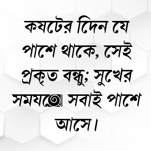 কষ্টের দিনে যে পাশে থাকে, সেই প্রকৃত বন্ধু; সুখের সময়ে সবাই পাশে আসে।