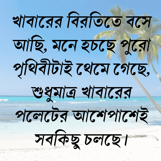 খাবারের বিরতিতে বসে আছি, মনে হচ্ছে পুরো পৃথিবীটাই থেমে গেছে, শুধুমাত্র খাবারের প্লেটের আশেপাশেই সবকিছু চলছে।