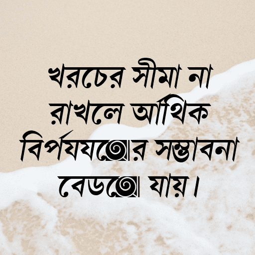 খরচের সীমা না রাখলে আর্থিক বিপর্যয়ের সম্ভাবনা বেড়ে যায়।