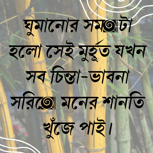 ঘুমানোর সময়টা হলো সেই মুহূর্ত যখন সব চিন্তা-ভাবনা সরিয়ে মনের শান্তি খুঁজে পাই।