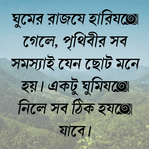 ঘুমের রাজ্যে হারিয়ে গেলে, পৃথিবীর সব সমস্যাই যেন ছোট মনে হয়। একটু ঘুমিয়ে নিলে সব ঠিক হয়ে যাবে।