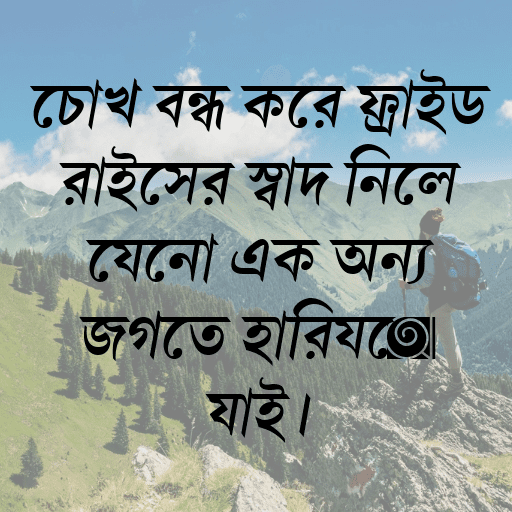 চোখ বন্ধ করে ফ্রাইড রাইসের স্বাদ নিলে যেনো এক অন্য জগতে হারিয়ে যাই।