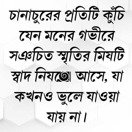 চানাচুরের প্রতিটি কুঁচি যেন মনের গভীরে সঞ্চিত স্মৃতির মিষ্টি স্বাদ নিয়ে আসে, যা কখনও ভুলে যাওয়া যায় না।