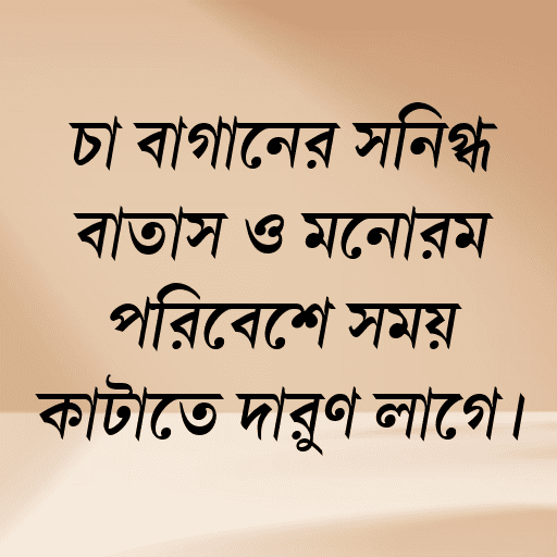 চা বাগানের স্নিগ্ধ বাতাস ও মনোরম পরিবেশে সময় কাটাতে দারুণ লাগে।