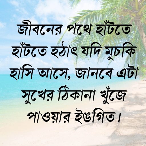 জীবনের পথে হাঁটতে হাঁটতে হঠাৎ যদি মুচকি হাসি আসে, জানবে এটা সুখের ঠিকানা খুঁজে পাওয়ার ইঙ্গিত।