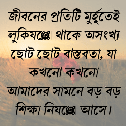 জীবনের প্রতিটি মুহূর্তেই লুকিয়ে থাকে অসংখ্য ছোট ছোট বাস্তবতা, যা কখনো কখনো আমাদের সামনে বড় বড় শিক্ষা নিয়ে আসে।