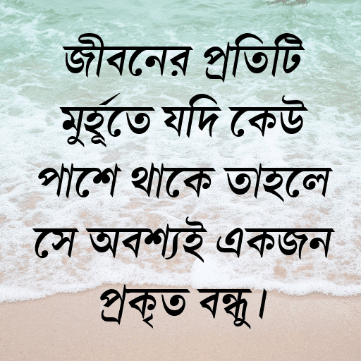 জীবনের প্রতিটি মুহূর্তে যদি কেউ পাশে থাকে তাহলে সে অবশ্যই একজন প্রকৃত বন্ধু।