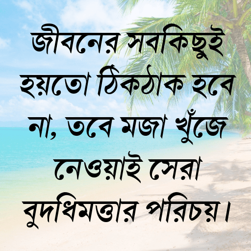 জীবনের সবকিছুই হয়তো ঠিকঠাক হবে না, তবে মজা খুঁজে নেওয়াই সেরা বুদ্ধিমত্তার পরিচয়।