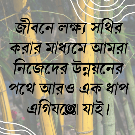 জীবনে লক্ষ্য স্থির করার মাধ্যমে আমরা নিজেদের উন্নয়নের পথে আরও এক ধাপ এগিয়ে যাই।