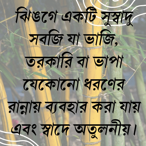 ঝিঙ্গে একটি সুস্বাদু সবজি যা ভাজি, তরকারি বা ভাপা যেকোনো ধরণের রান্নায় ব্যবহার করা যায় এবং স্বাদে অতুলনীয়।