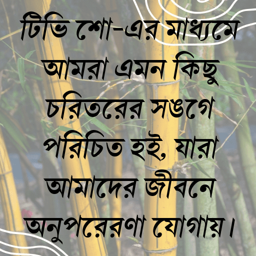 টিভি শো-এর মাধ্যমে আমরা এমন কিছু চরিত্রের সঙ্গে পরিচিত হই, যারা আমাদের জীবনে অনুপ্রেরণা যোগায়।