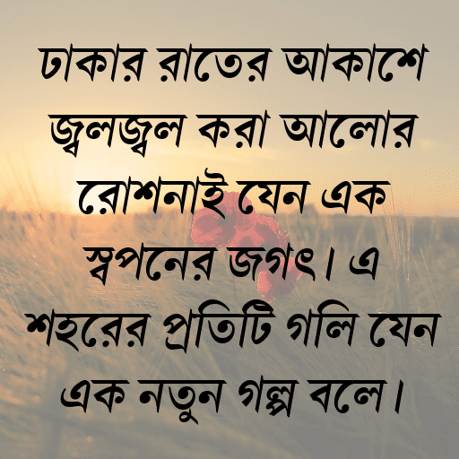 ঢাকার রাতের আকাশে জ্বলজ্বল করা আলোর রোশনাই যেন এক স্বপ্নের জগৎ। এ শহরের প্রতিটি গলি যেন এক নতুন গল্প বলে।