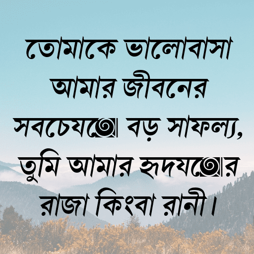 তোমাকে ভালোবাসা আমার জীবনের সবচেয়ে বড় সাফল্য, তুমি আমার হৃদয়ের রাজা কিংবা রানী।