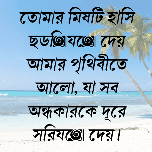 তোমার মিষ্টি হাসি ছড়িয়ে দেয় আমার পৃথিবীতে আলো, যা সব অন্ধকারকে দূরে সরিয়ে দেয়।