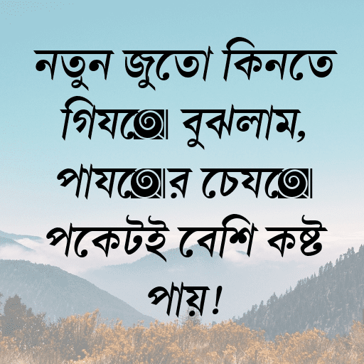 নতুন জুতো কিনতে গিয়ে বুঝলাম, পায়ের চেয়ে পকেটই বেশি কষ্ট পায়!
