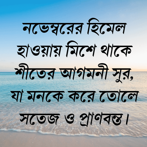 নভেম্বরের হিমেল হাওয়ায় মিশে থাকে শীতের আগমনী সুর, যা মনকে করে তোলে সতেজ ও প্রাণবন্ত।