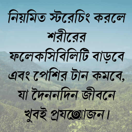 নিয়মিত স্ট্রেচিং করলে শরীরের ফ্লেক্সিবিলিটি বাড়বে এবং পেশির টান কমবে, যা দৈনন্দিন জীবনে খুবই প্রয়োজন।