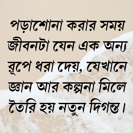 পড়াশোনা করার সময় জীবনটা যেন এক অন্য রূপে ধরা দেয়, যেখানে জ্ঞান আর কল্পনা মিলে তৈরি হয় নতুন দিগন্ত।