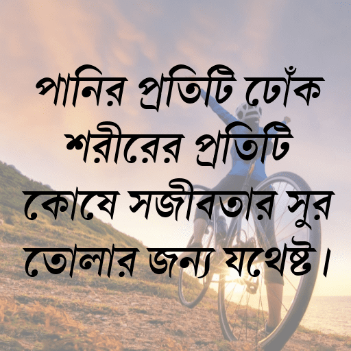 পানির প্রতিটি ঢোঁক শরীরের প্রতিটি কোষে সজীবতার সুর তোলার জন্য যথেষ্ট।