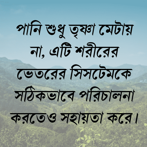 পানি শুধু তৃষ্ণা মেটায় না, এটি শরীরের ভেতরের সিস্টেমকে সঠিকভাবে পরিচালনা করতেও সহায়তা করে।