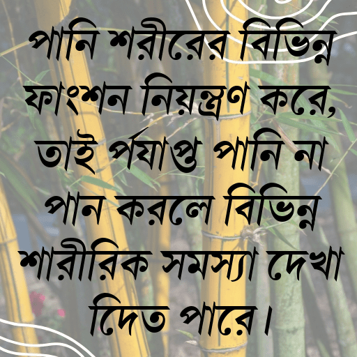 পানি শরীরের বিভিন্ন ফাংশন নিয়ন্ত্রণ করে, তাই পর্যাপ্ত পানি না পান করলে বিভিন্ন শারীরিক সমস্যা দেখা দিতে পারে।