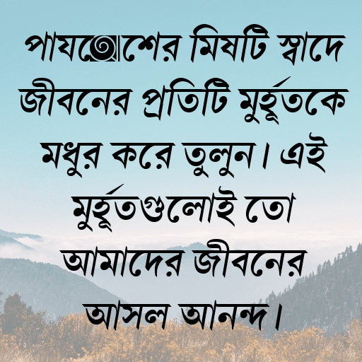 পায়েশের মিষ্টি স্বাদে জীবনের প্রতিটি মুহূর্তকে মধুর করে তুলুন। এই মুহূর্তগুলোই তো আমাদের জীবনের আসল আনন্দ।