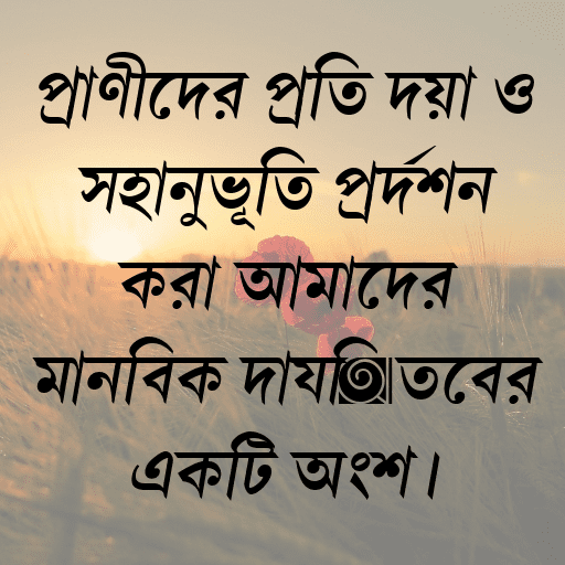 প্রাণীদের প্রতি দয়া ও সহানুভূতি প্রদর্শন করা আমাদের মানবিক দায়িত্বের একটি অংশ।