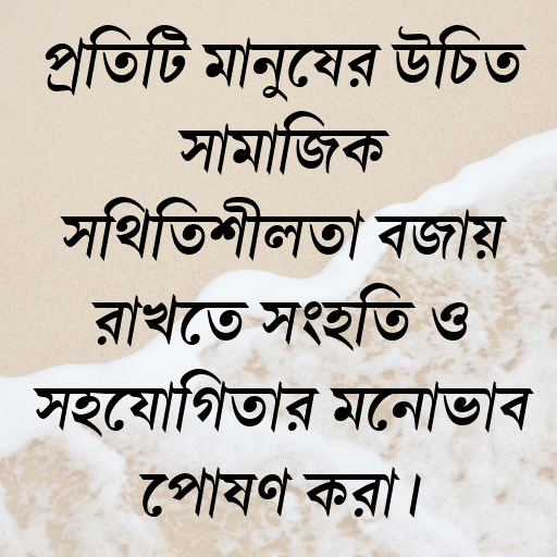প্রতিটি মানুষের উচিত সামাজিক স্থিতিশীলতা বজায় রাখতে সংহতি ও সহযোগিতার মনোভাব পোষণ করা।