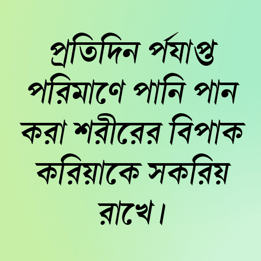 প্রতিদিন পর্যাপ্ত পরিমাণে পানি পান করা শরীরের বিপাক ক্রিয়াকে সক্রিয় রাখে।