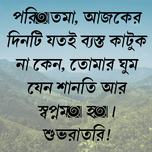 প্রিয়তমা, আজকের দিনটি যতই ব্যস্ত কাটুক না কেন, তোমার ঘুম যেন শান্তি আর স্বপ্নময় হয়। শুভরাত্রি!