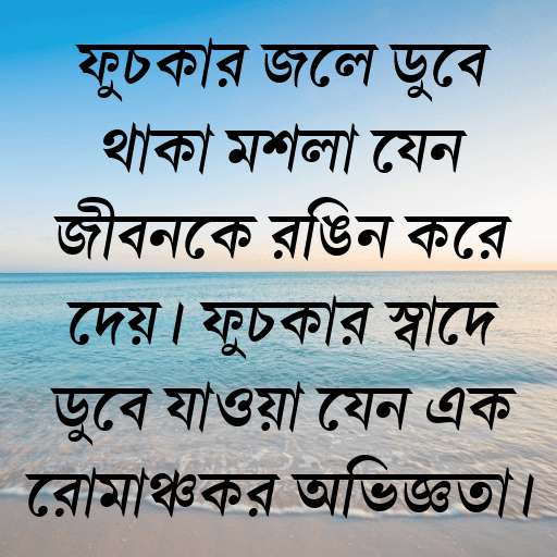 ফুচকার জলে ডুবে থাকা মশলা যেন জীবনকে রঙিন করে দেয়। ফুচকার স্বাদে ডুবে যাওয়া যেন এক রোমাঞ্চকর অভিজ্ঞতা।