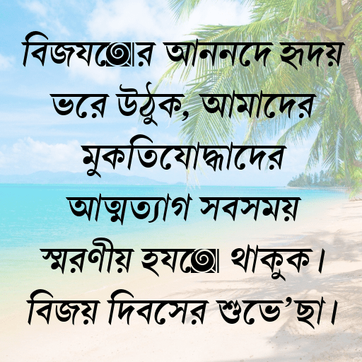 বিজয়ের আনন্দে হৃদয় ভরে উঠুক, আমাদের মুক্তিযোদ্ধাদের আত্মত্যাগ সবসময় স্মরণীয় হয়ে থাকুক। বিজয় দিবসের শুভেচ্ছা।