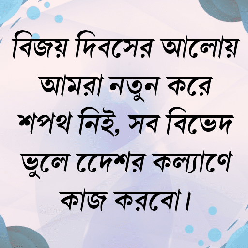 বিজয় দিবসের আলোয় আমরা নতুন করে শপথ নিই, সব বিভেদ ভুলে দেশের কল্যাণে কাজ করবো।