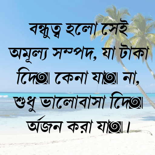 বন্ধুত্ব হলো সেই অমূল্য সম্পদ, যা টাকা দিয়ে কেনা যায় না, শুধু ভালোবাসা দিয়ে অর্জন করা যায়।