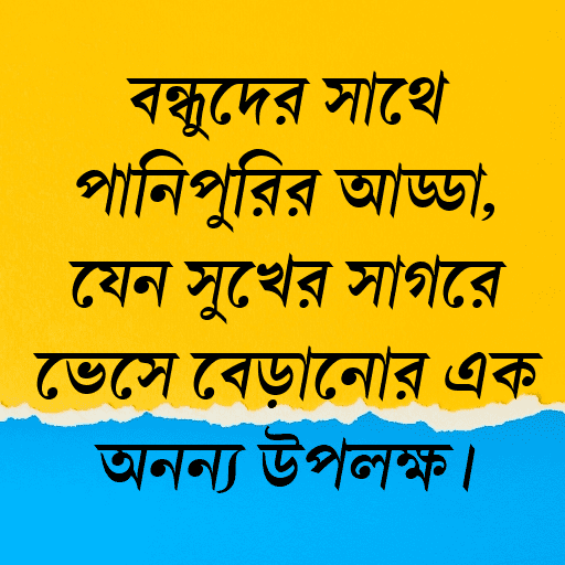 বন্ধুদের সাথে পানিপুরির আড্ডা, যেন সুখের সাগরে ভেসে বেড়ানোর এক অনন্য উপলক্ষ।