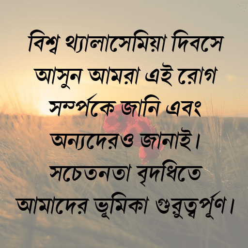 বিশ্ব থ্যালাসেমিয়া দিবসে আসুন আমরা এই রোগ সম্পর্কে জানি এবং অন্যদেরও জানাই। সচেতনতা বৃদ্ধিতে আমাদের ভূমিকা গুরুত্বপূর্ণ।