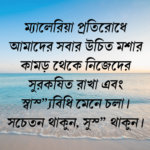 ম্যালেরিয়া প্রতিরোধে আমাদের সবার উচিত মশার কামড় থেকে নিজেদের সুরক্ষিত রাখা এবং স্বাস্থ্যবিধি মেনে চলা। সচেতন থাকুন, সুস্থ থাকুন।