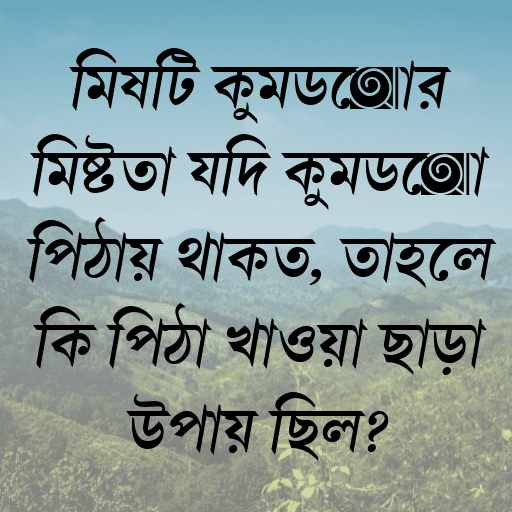 মিষ্টি কুমড়োর মিষ্টতা যদি কুমড়ো পিঠায় থাকত, তাহলে কি পিঠা খাওয়া ছাড়া উপায় ছিল?