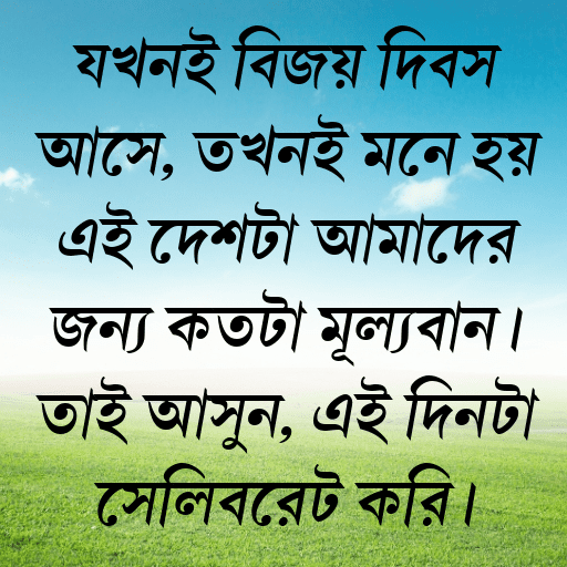 যখনই বিজয় দিবস আসে, তখনই মনে হয় এই দেশটা আমাদের জন্য কতটা মূল্যবান। তাই আসুন, এই দিনটা সেলিব্রেট করি।