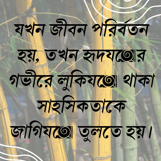 যখন জীবন পরিবর্তন হয়, তখন হৃদয়ের গভীরে লুকিয়ে থাকা সাহসিকতাকে জাগিয়ে তুলতে হয়।