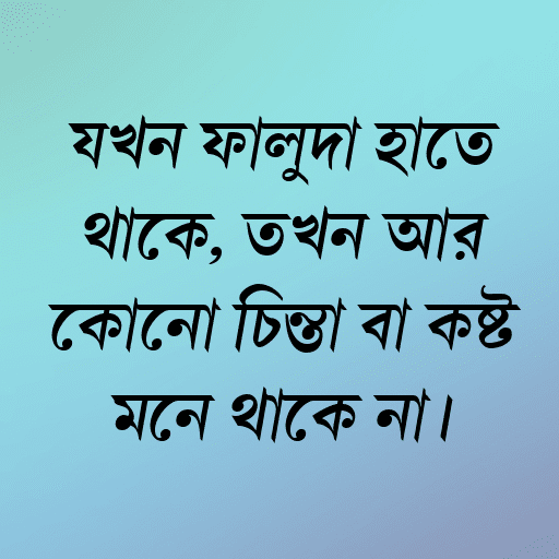 যখন ফালুদা হাতে থাকে, তখন আর কোনো চিন্তা বা কষ্ট মনে থাকে না।