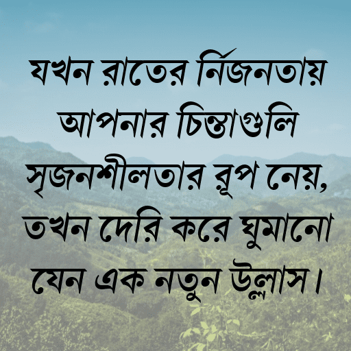 যখন রাতের নির্জনতায় আপনার চিন্তাগুলি সৃজনশীলতার রূপ নেয়, তখন দেরি করে ঘুমানো যেন এক নতুন উল্লাস।