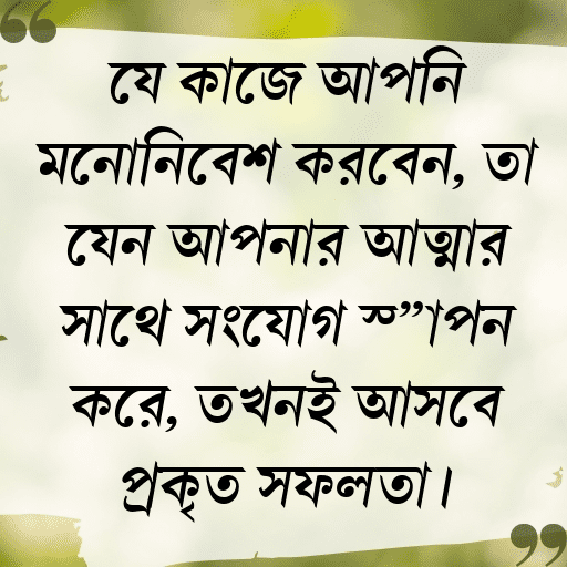 যে কাজে আপনি মনোনিবেশ করবেন, তা যেন আপনার আত্মার সাথে সংযোগ স্থাপন করে, তখনই আসবে প্রকৃত সফলতা।