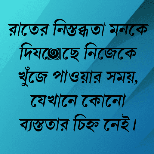 রাতের নিস্তব্ধতা মনকে দিয়েছে নিজেকে খুঁজে পাওয়ার সময়, যেখানে কোনো ব্যস্ততার চিহ্ন নেই।
