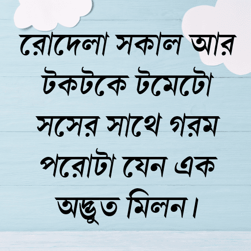 রোদেলা সকাল আর টকটকে টমেটো সসের সাথে গরম পরোটা যেন এক অদ্ভুত মিলন।