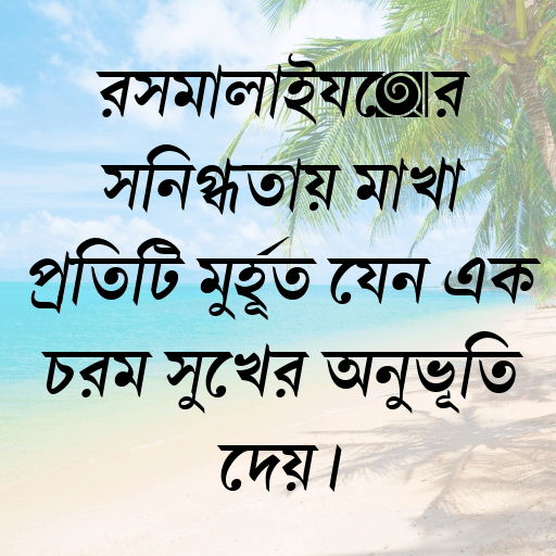 রসমালাইয়ের স্নিগ্ধতায় মাখা প্রতিটি মুহূর্ত যেন এক চরম সুখের অনুভূতি দেয়।
