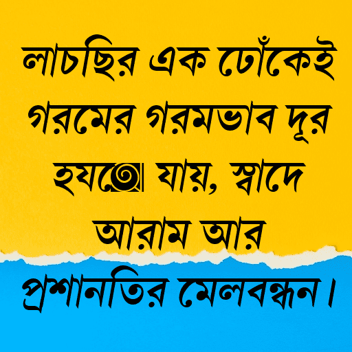 লাচ্ছির এক ঢোঁকেই গরমের গরমভাব দূর হয়ে যায়, স্বাদে আরাম আর প্রশান্তির মেলবন্ধন।